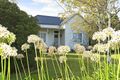 Property photo of 46 Thomson Street Terang VIC 3264