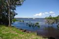 Property photo of 20 First Avenue Maaroom QLD 4650