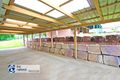 Property photo of 7 Banks Court Redbank Plains QLD 4301