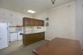 Property photo of 52 Malurus Avenue Lockleys SA 5032