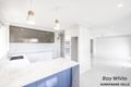 Property photo of 3 Bluegum Street Macgregor QLD 4109