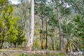 Property photo of 869 Back River Road Magra TAS 7140