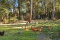 Property photo of 2 Freemans Glen Mardi NSW 2259