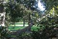 Property photo of 21 Landcox Street Brighton East VIC 3187