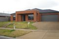 Property photo of 17 Tenterfield Drive Narre Warren South VIC 3805