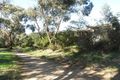 Property photo of 1 Arinya Crescent Anglesea VIC 3230