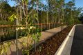 Property photo of 8 Mount View Crescent Narangba QLD 4504