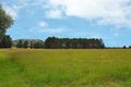 Property photo of 10 Coney Hatch Lane Sutton Forest NSW 2577