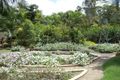 Property photo of 8 Forestwood Drive Buderim QLD 4556