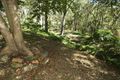 Property photo of 5 Elmwood Close Belmont North NSW 2280
