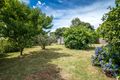 Property photo of 527 Monbulk Road Monbulk VIC 3793