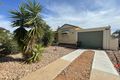 Property photo of 15 Syme Street Whyalla SA 5600