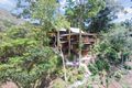 Property photo of 246 Upper Wilsons Creek Road Upper Wilsons Creek NSW 2482