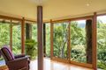 Property photo of 246 Upper Wilsons Creek Road Upper Wilsons Creek NSW 2482