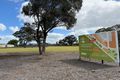 Property photo of 44 Perricoota Road Moama NSW 2731
