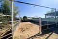 Property photo of 26 Elderslie Street Winton QLD 4735