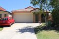 Property photo of 19 Springbrook Street Caloundra West QLD 4551