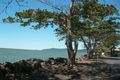 Property photo of 3 Esplanade Flying Fish Point QLD 4860