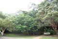 Property photo of 8/40 Seaview Avenue Newport NSW 2106