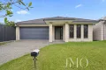 Property photo of 7 Terania Avenue Ormeau Hills QLD 4208