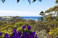 Property photo of 31 Bennett Street Dee Why NSW 2099