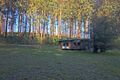 Property photo of 248 Spraggs Road Toolangi VIC 3777