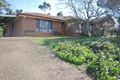 Property photo of 41 Calgaroo Avenue Muswellbrook NSW 2333