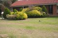 Property photo of 5 Bromley Road Huntfield Heights SA 5163