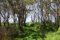 Property photo of 109 Dickson Way Point Lookout QLD 4183