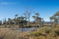 Property photo of 890 The Glen Road Pipers River TAS 7252