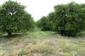 Property photo of 107 Briers Road Loxton North SA 5333