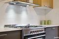 Property photo of 11 Solar Way Mickleham VIC 3064