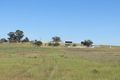 Property photo of 264 Heatherbrae Road Geurie NSW 2818