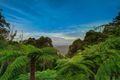 Property photo of 1315 Mt Dandenong Tourist Road Kalorama VIC 3766