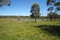 Property photo of 115 Nightingale Road Pheasants Nest NSW 2574