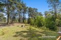 Property photo of 131 Boormans Road Tyalgum NSW 2484