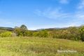 Property photo of 131 Boormans Road Tyalgum NSW 2484