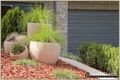 Property photo of 12/11 Florence Fuller Crescent Conder ACT 2906