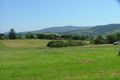 Property photo of 21 Nile Close Gerringong NSW 2534