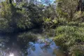 Property photo of 476 Paddys Flat Road Tabulam NSW 2469