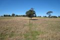 Property photo of 115 Nightingale Road Pheasants Nest NSW 2574