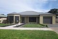 Property photo of 31 McPhee Street Hamilton VIC 3300