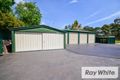 Property photo of 43 Campsie Street Wilton NSW 2571