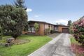 Property photo of 45 Essex Road Mount Waverley VIC 3149