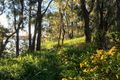 Property photo of 36 Andrew Street Lake Munmorah NSW 2259