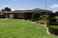 Property photo of 31 Celtis Place Leeton NSW 2705