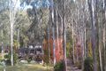 Property photo of 219 Sun Valley Road Sun Valley NSW 2777