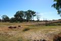 Property photo of LOT 14 Pink Lily Road Pink Lily QLD 4702