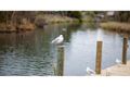 Property photo of 125/78 Nepean Highway Seaford VIC 3198