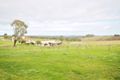 Property photo of 80 Apps Lane Young NSW 2594